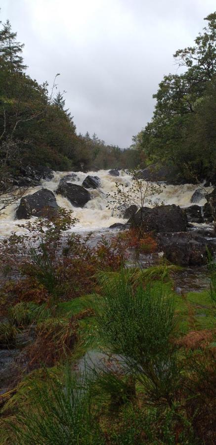Lios Daire Killarney Eksteriør billede
